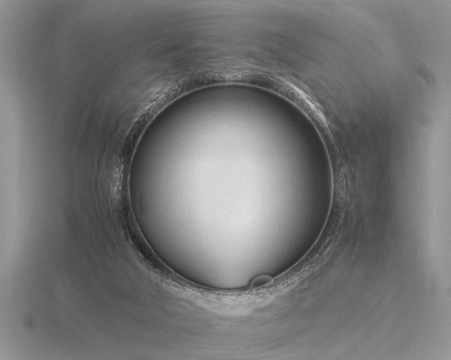 X0000116260018200912141317