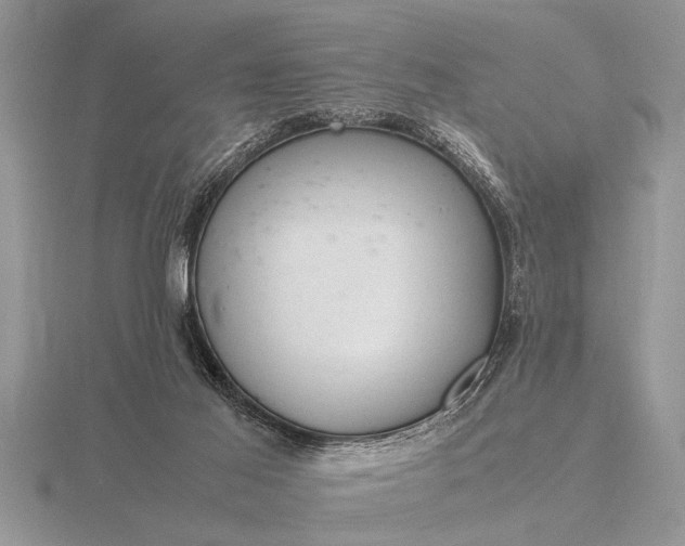 X0000116260021200912141317