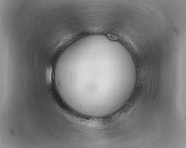 X0000116260024200912141317