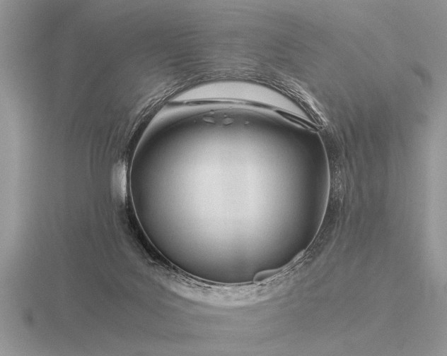 X0000116260027200912141317