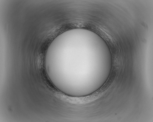 X0000116260030200912141317