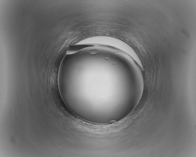X0000116260035200912141317
