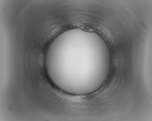 X0000116260036200912141316