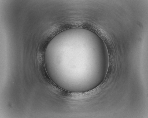 X0000116260037200912141316