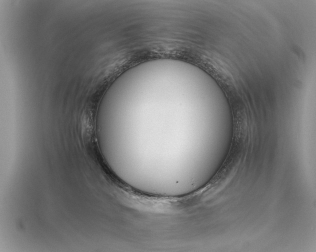 X0000116260040200912141316