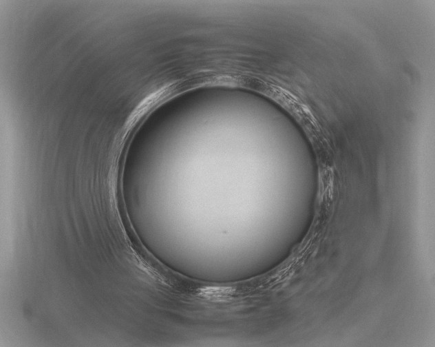 X0000116260051200912141316