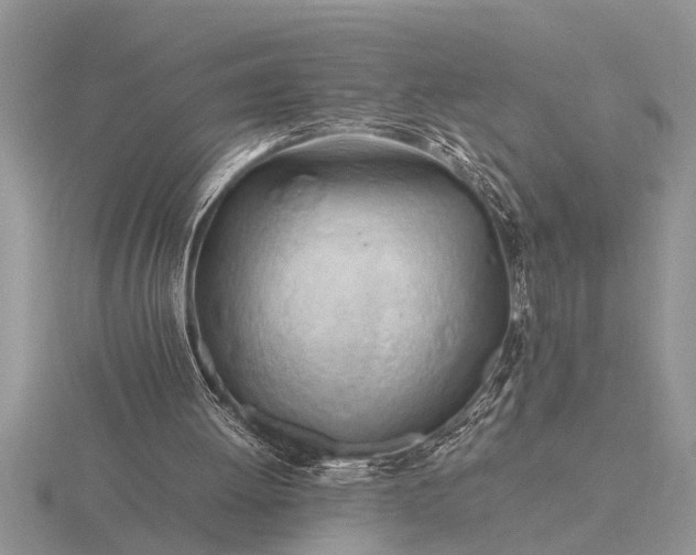 X0000116260052200912141316