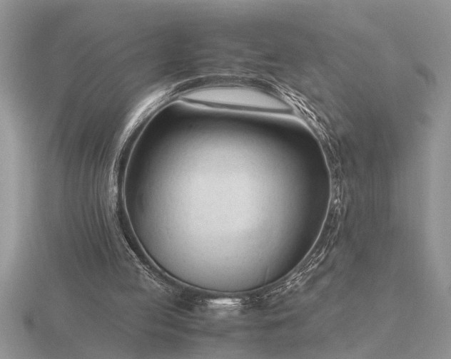 X0000116260053200912141316