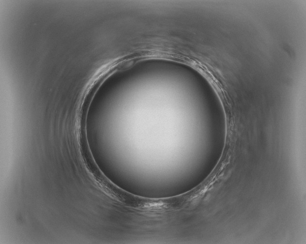X0000116260055200912141316