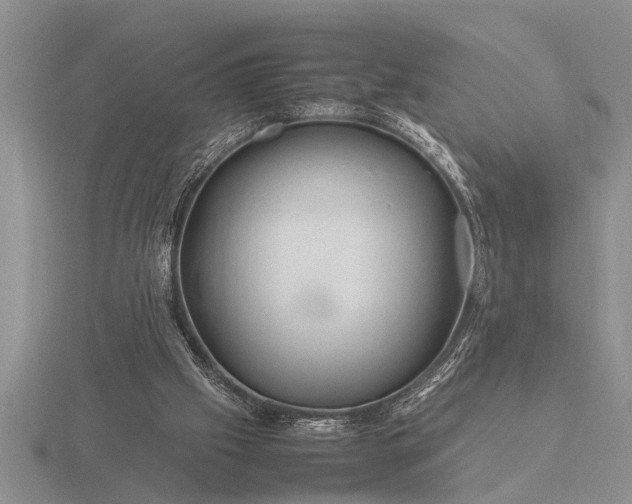 X0000116260057200912141316