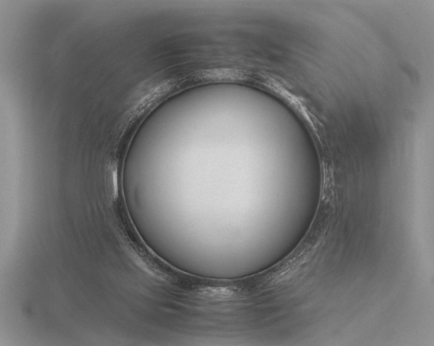 X0000116260061200912141316