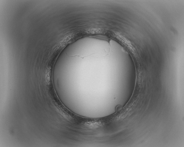 X0000116260065200912141316