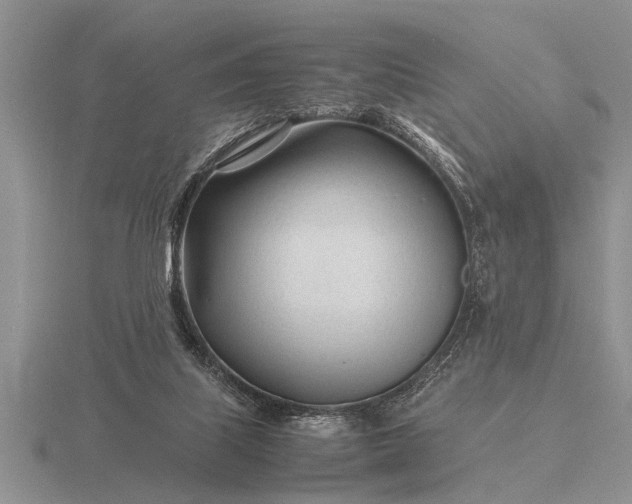 X0000116260067200912141316