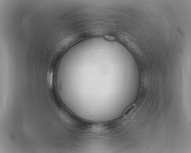 X0000116260070200912141316