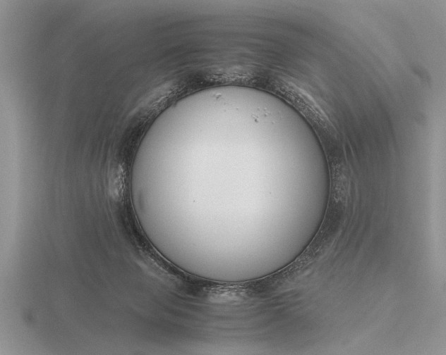 X0000116260077200912141316