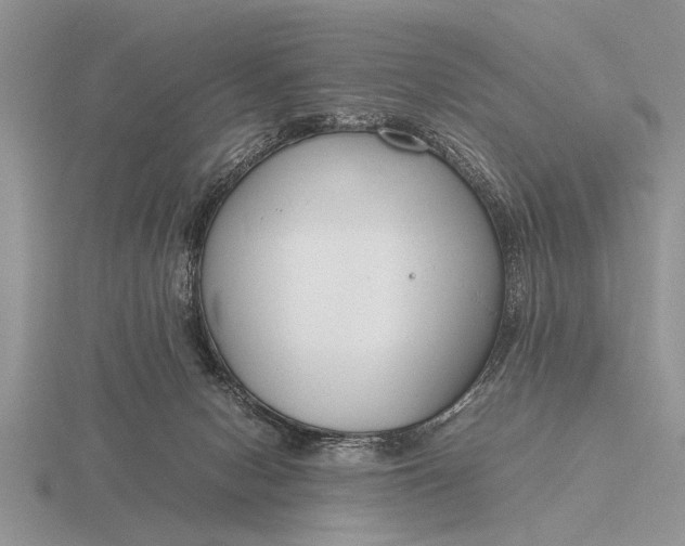 X0000116260078200912141316