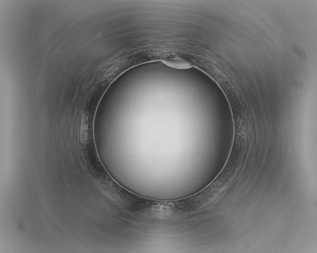 X0000116260080200912141316