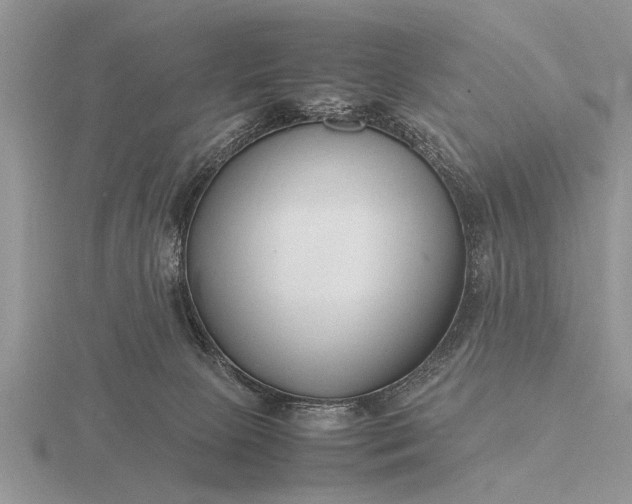X0000116260081200912141316