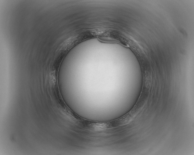 X0000116260085200912141316