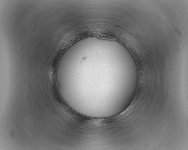X0000116260086200912141316
