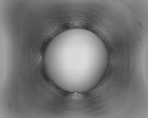 X0000116260087200912141316