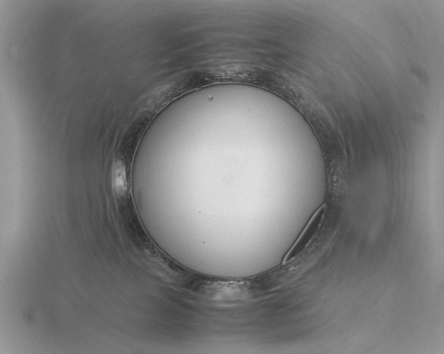 X0000116260089200912141316
