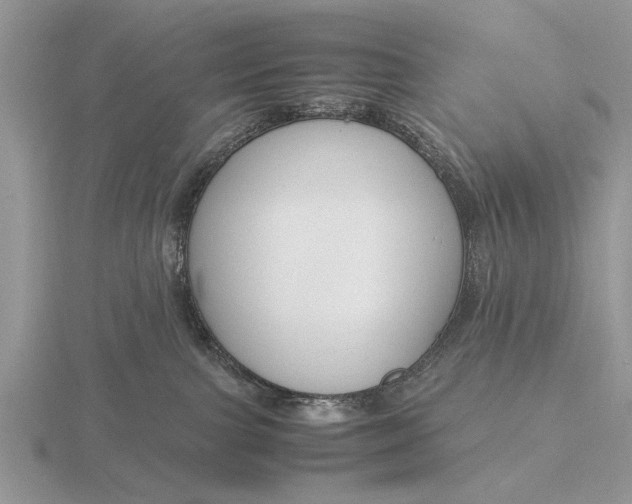 X0000116260091200912141316