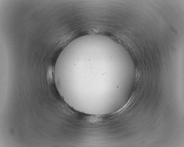 X0000116260094200912141316
