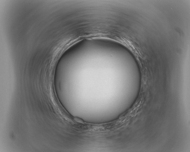 X0000116260097200912141316