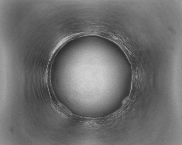 X0000116260100200912141316
