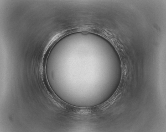 X0000116260102200912141316