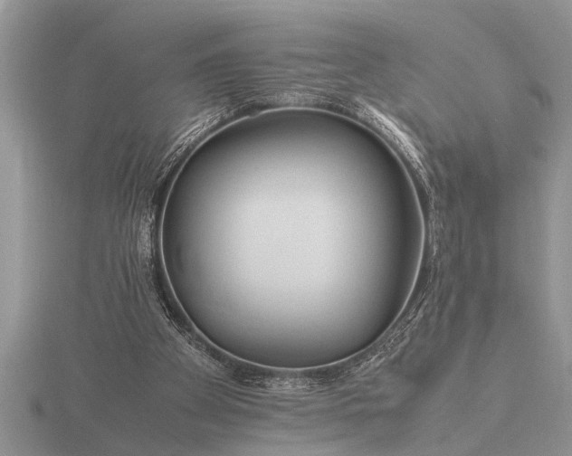 X0000116260105200912141316