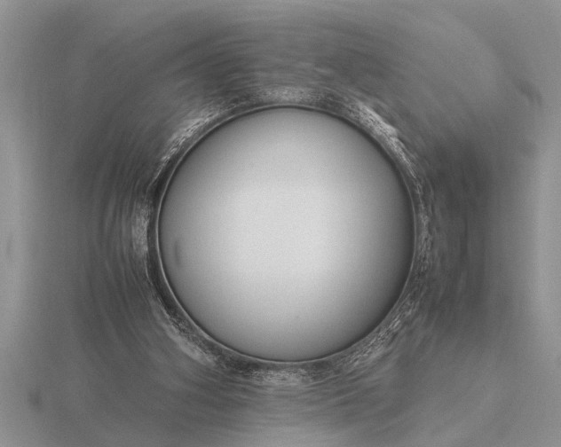 X0000116260106200912141316
