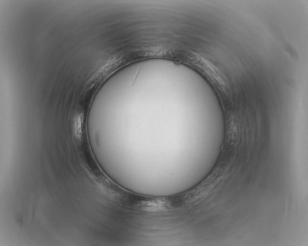 X0000116260118200912141315