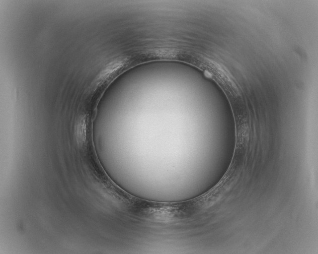 X0000116260120200912141315