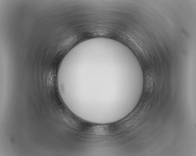 X0000116260126200912141315