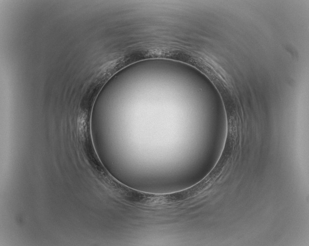 X0000116260127200912141315