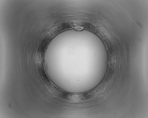 X0000116260129200912141315