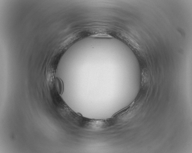 X0000116260141200912141315