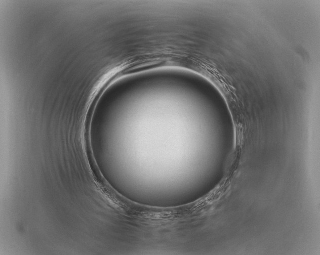 X0000116260147200912141315
