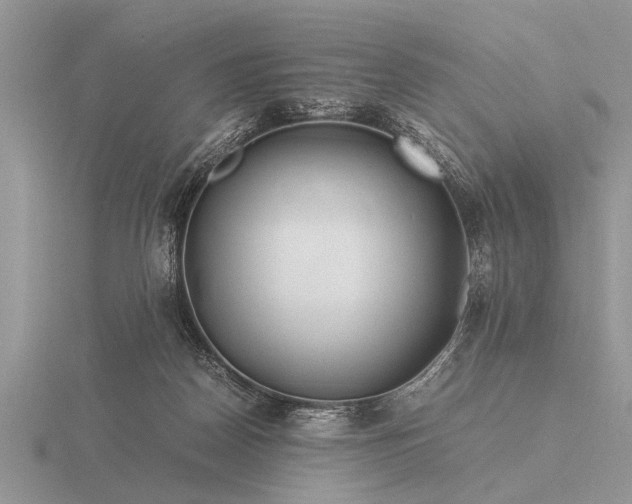 X0000116260170200912141315