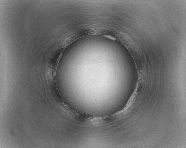 X0000116260186200912141315