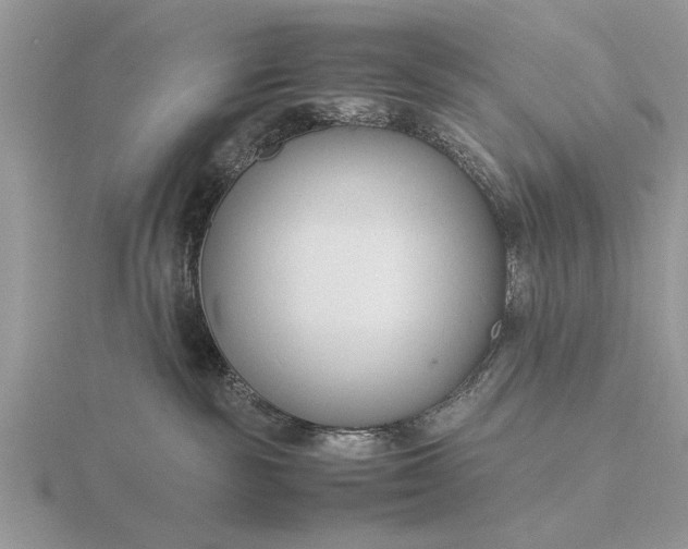 X0000116260189200912141315