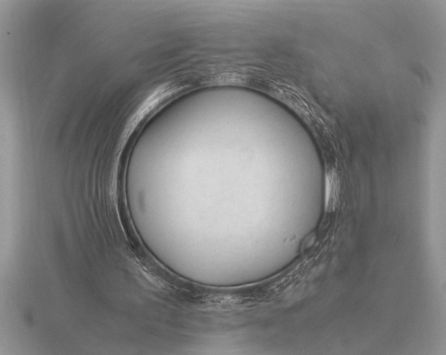 X0000116260195200912141314