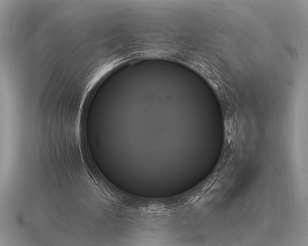 X0000116260196200912141314