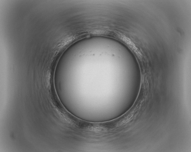 X0000116260201200912141314