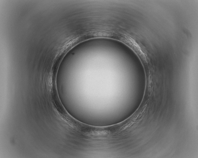 X0000116260202200912141314
