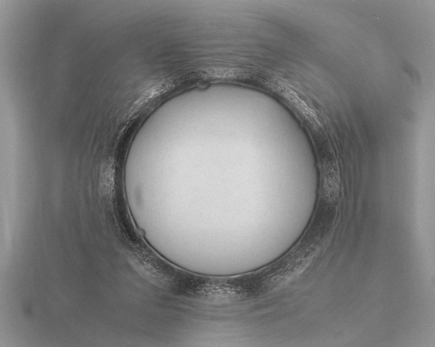 X0000116260207200912141314