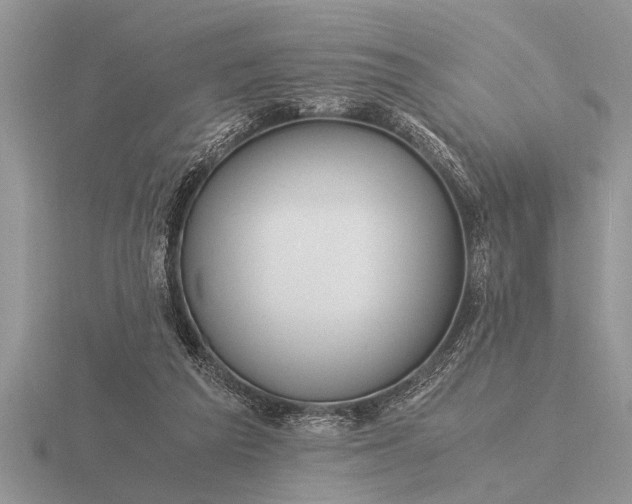 X0000116260209200912141314