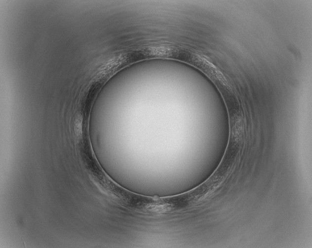 X0000116260213200912141314